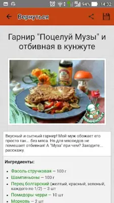 Отбивные – кулинарные рецепты android App screenshot 8